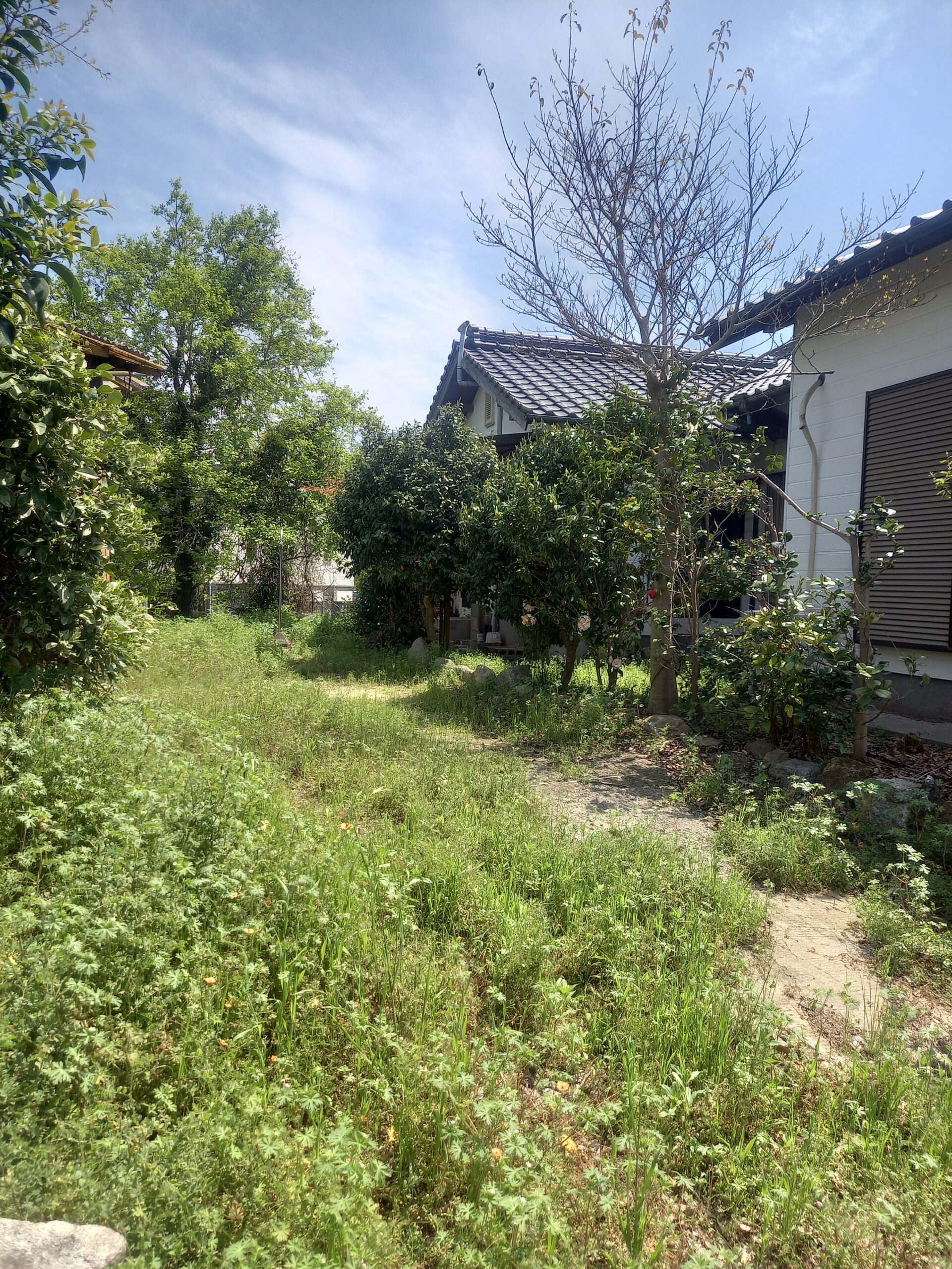 質問イメージ